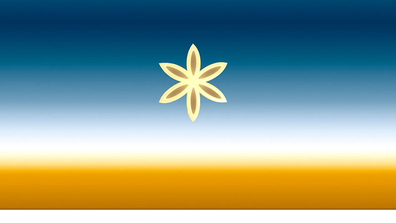 Illustration for article titled Ya puedes elegir la bandera de Asgardia, la primera nación espacial. Estas son las candidatas